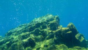 gunung api bawah laut